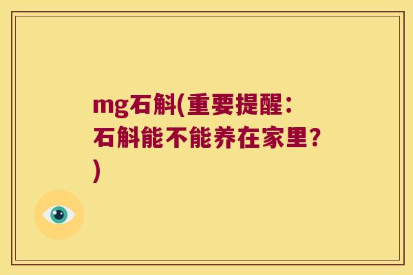 mg石斛(重要提醒：石斛能不能养在家里？)
