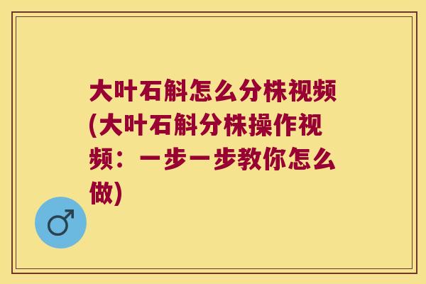 大叶石斛怎么分株视频(大叶石斛分株操作视频：一步一步教你怎么做)