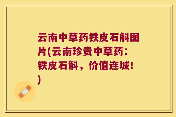 云南中草药铁皮石斛图片(云南珍贵中草药：铁皮石斛，价值连城！)