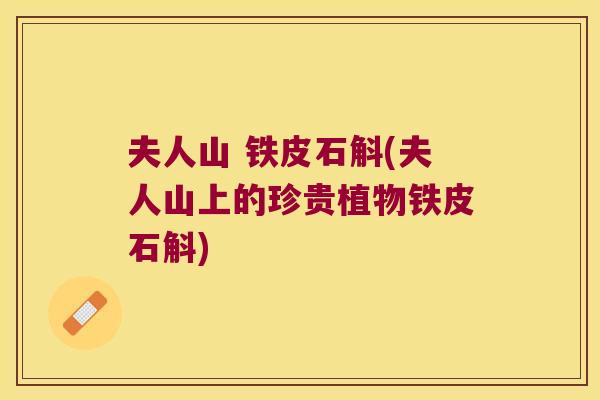 夫人山 铁皮石斛(夫人山上的珍贵植物铁皮石斛)