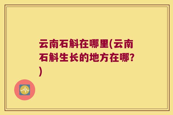 云南石斛在哪里(云南石斛生长的地方在哪？)