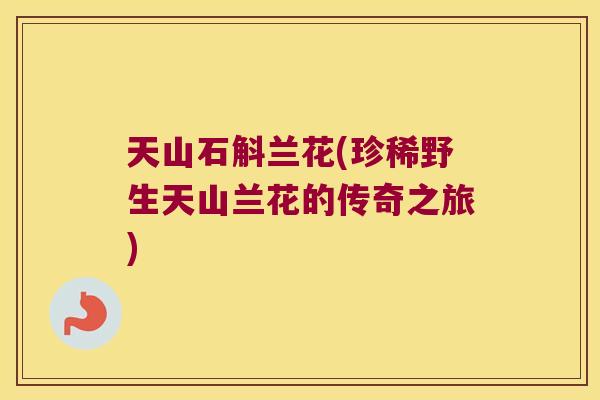 天山石斛兰花(珍稀野生天山兰花的传奇之旅)