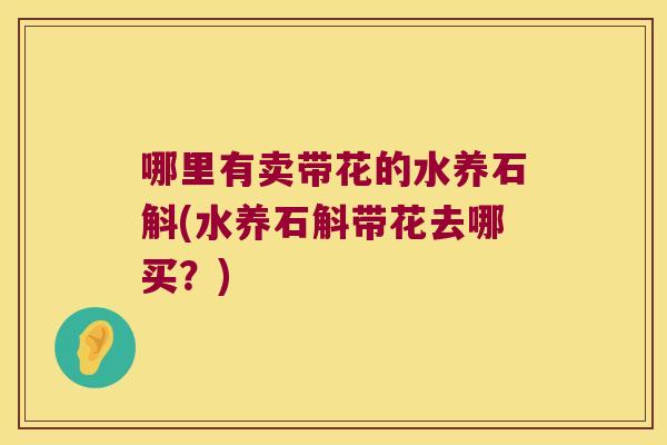 哪里有卖带花的水养石斛(水养石斛带花去哪买？)