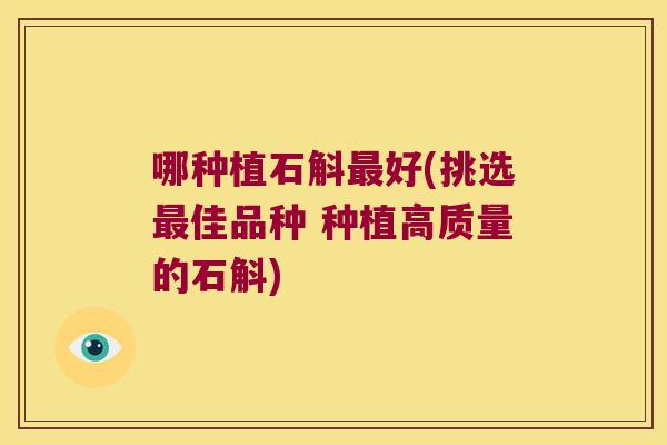 哪种植石斛最好(挑选最佳品种 种植高质量的石斛)