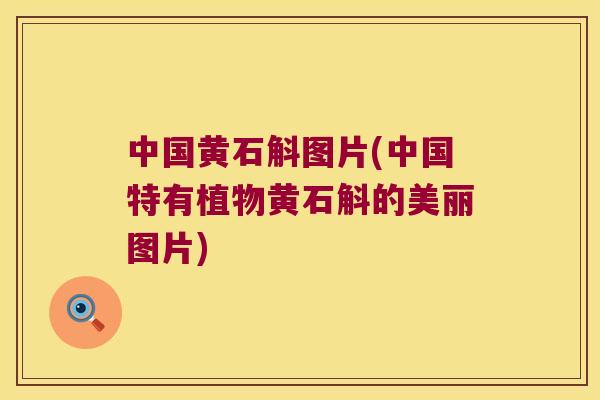 中国黄石斛图片(中国特有植物黄石斛的美丽图片) 中国黄石斛图片(中国特有植物黄石斛的美丽图片)