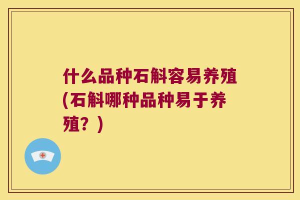 什么品种石斛容易养殖(石斛哪种品种易于养殖？)