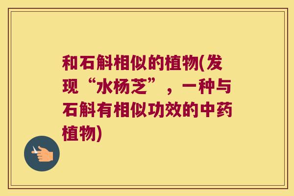 和石斛相似的植物(发现“水杨芝”，一种与石斛有相似功效的中药植物)