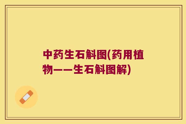 中药生石斛图(药用植物——生石斛图解)