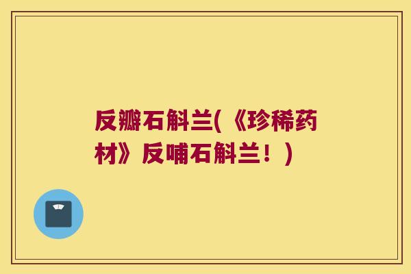 反瓣石斛兰(《珍稀药材》反哺石斛兰！)