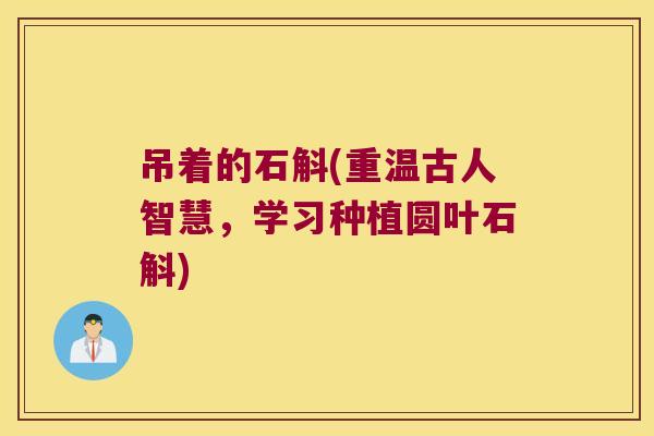 吊着的石斛(重温古人智慧，学习种植圆叶石斛)