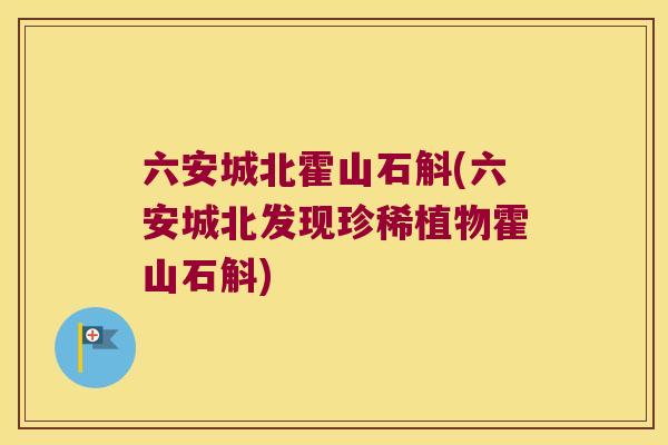 六安城北霍山石斛(六安城北发现珍稀植物霍山石斛)