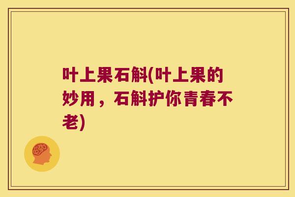 叶上果石斛(叶上果的妙用，石斛护你青春不老)