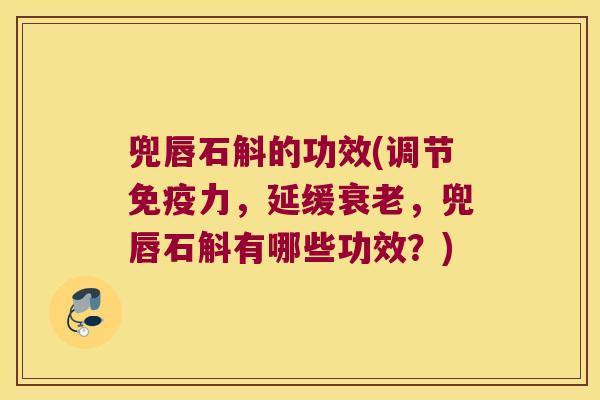 兜唇石斛的功效(调节免疫力，延缓衰老，兜唇石斛有哪些功效？)