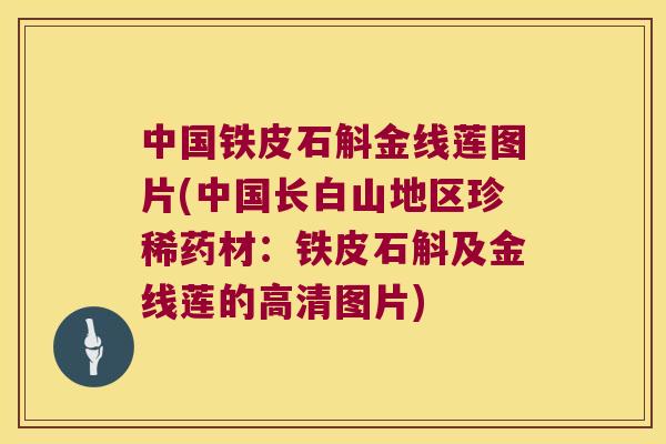 中国铁皮石斛金线莲图片(中国长白山地区珍稀药材：铁皮石斛及金线莲的高清图片)
