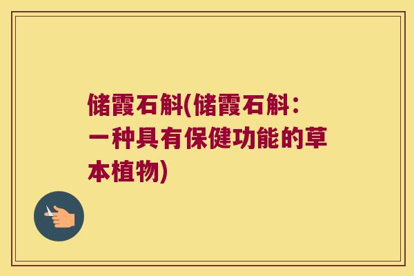 储霞石斛(储霞石斛：一种具有保健功能的草本植物)