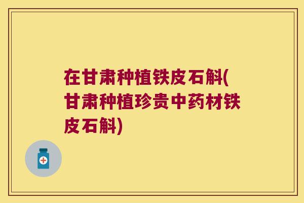 在甘肃种植铁皮石斛(甘肃种植珍贵材铁皮石斛)