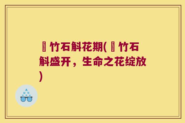 姫竹石斛花期(姫竹石斛盛开，生命之花绽放)