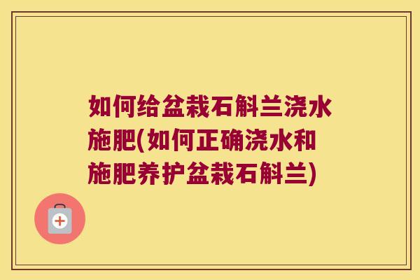如何给盆栽石斛兰浇水施肥(如何正确浇水和施肥养护盆栽石斛兰)