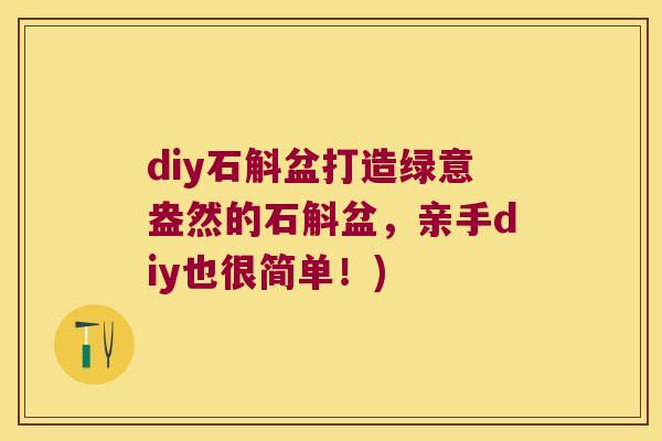 diy石斛盆打造绿意盎然的石斛盆，亲手diy也很简单！)