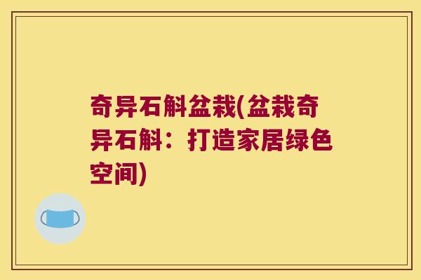 奇异石斛盆栽(盆栽奇异石斛：打造家居绿色空间)