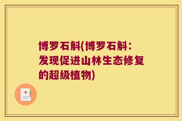 博罗石斛(博罗石斛：发现促进山林生态修复的超级植物)