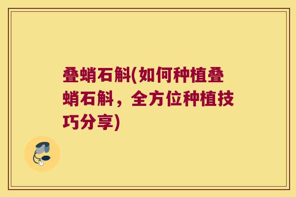 叠蛸石斛(如何种植叠蛸石斛，全方位种植技巧分享)