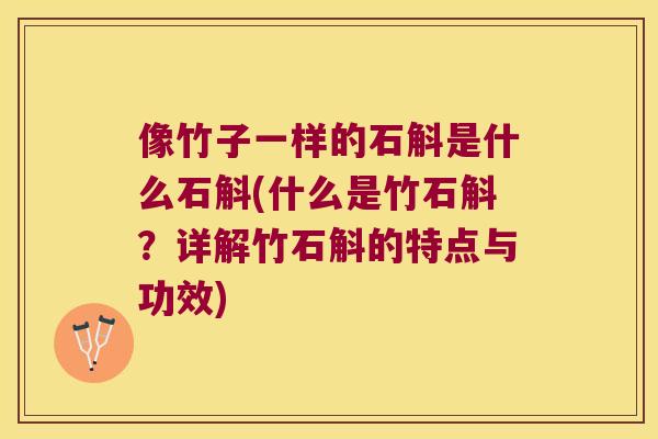 像竹子一样的石斛是什么石斛(什么是竹石斛？详解竹石斛的特点与功效)