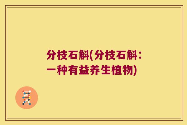 分枝石斛(分枝石斛：一种有益养生植物)