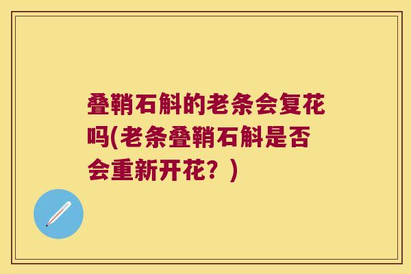 叠鞘石斛的老条会复花吗(老条叠鞘石斛是否会重新开花？)