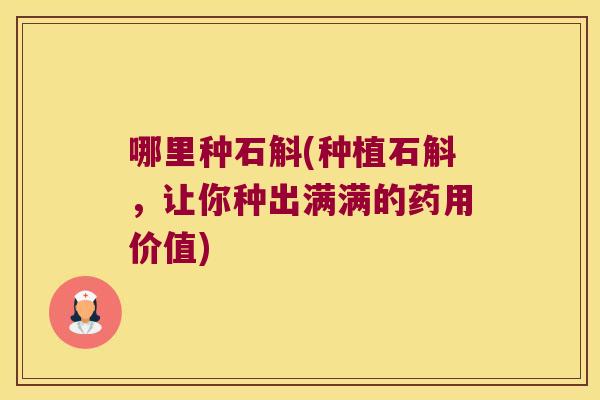 哪里种石斛(种植石斛，让你种出满满的药用价值)