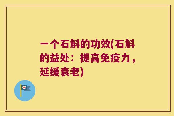 一个石斛的功效(石斛的益处：提高免疫力，延缓衰老)