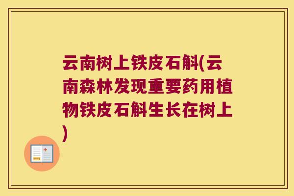 云南树上铁皮石斛(云南森林发现重要药用植物铁皮石斛生长在树上)