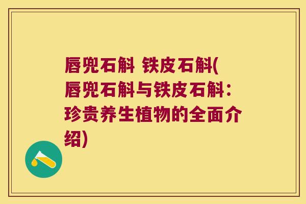 唇兜石斛 铁皮石斛(唇兜石斛与铁皮石斛：珍贵养生植物的全面介绍)