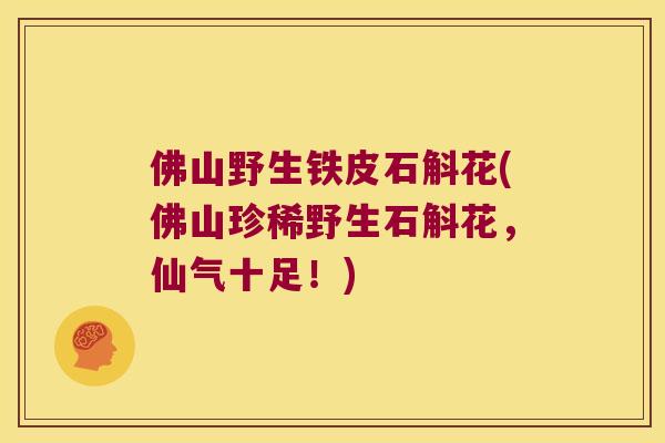 佛山野生铁皮石斛花(佛山珍稀野生石斛花，仙气十足！)
