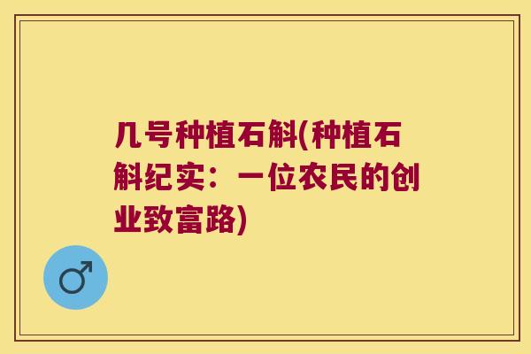 几号种植石斛(种植石斛纪实：一位农民的创业致富路)
