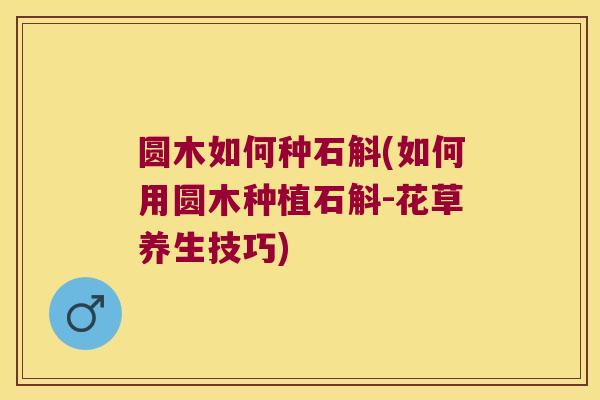 圆木如何种石斛(如何用圆木种植石斛-花草养生技巧)