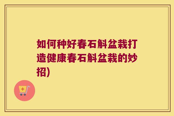 如何种好春石斛盆栽打造健康春石斛盆栽的妙招)