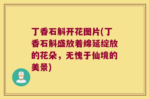 丁香石斛开花图片(丁香石斛盛放着绵延绽放的花朵，无愧于仙境的美景)