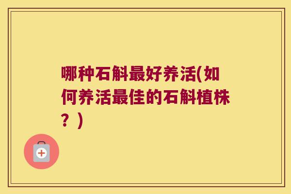 哪种石斛最好养活(如何养活最佳的石斛植株？)
