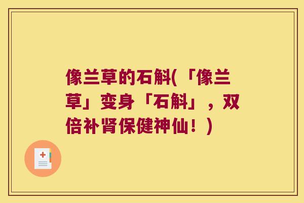 像兰草的石斛(「像兰草」变身「石斛」，双倍补肾保健神仙！)