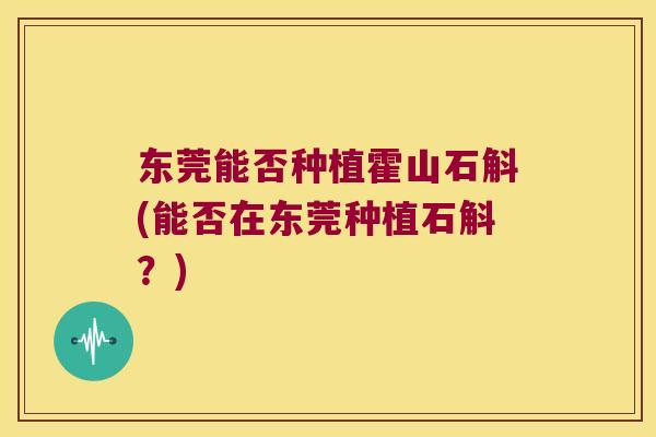 东莞能否种植霍山石斛(能否在东莞种植石斛？)