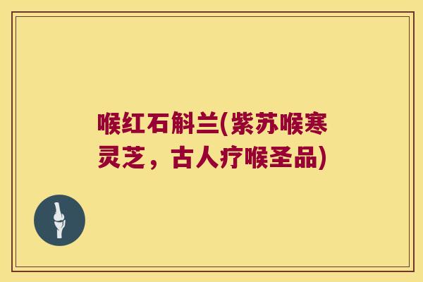 喉红石斛兰(紫苏喉寒灵芝，古人疗喉圣品)