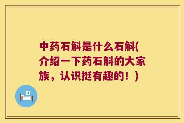 中药石斛是什么石斛(介绍一下药石斛的大家族，认识挺有趣的！)