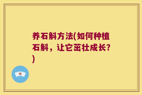 养石斛方法(如何种植石斛，让它茁壮成长？)
