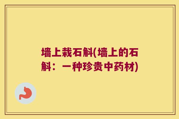 墙上栽石斛(墙上的石斛：一种珍贵中药材)
