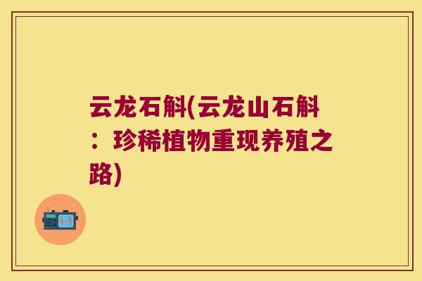 云龙石斛(云龙山石斛：珍稀植物重现养殖之路)
