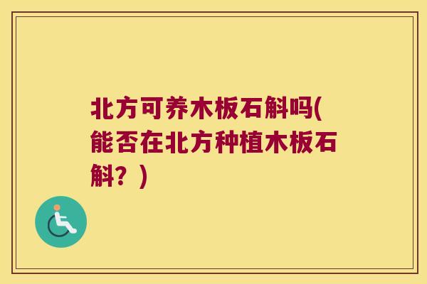 北方可养木板石斛吗(能否在北方种植木板石斛？)