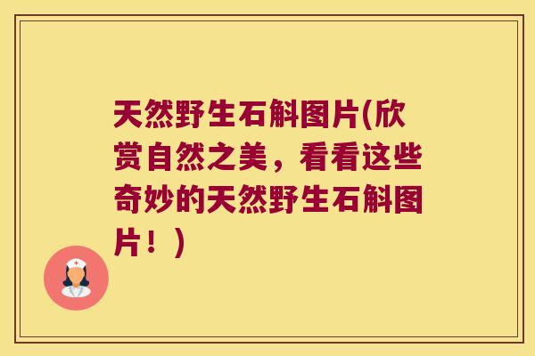 天然野生石斛图片(欣赏自然之美，看看这些奇妙的天然野生石斛图片！)