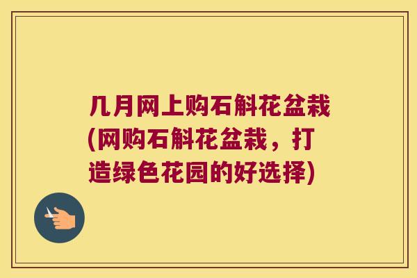 几月网上购石斛花盆栽(网购石斛花盆栽,打造绿色花园的好选择) 几月网上购石斛花盆栽(网购石斛花盆栽,打造绿色花园的好选择)