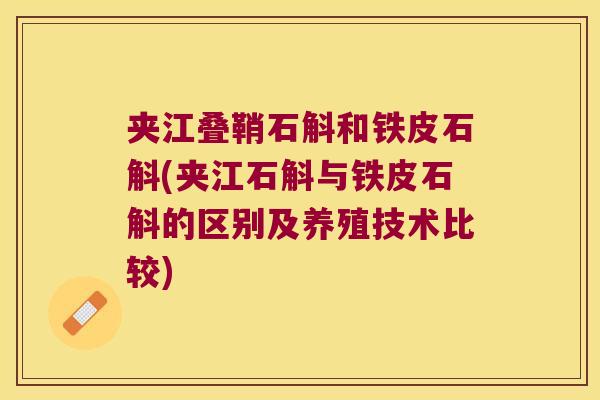夹江叠鞘石斛和铁皮石斛(夹江石斛与铁皮石斛的区别及养殖技术比较)